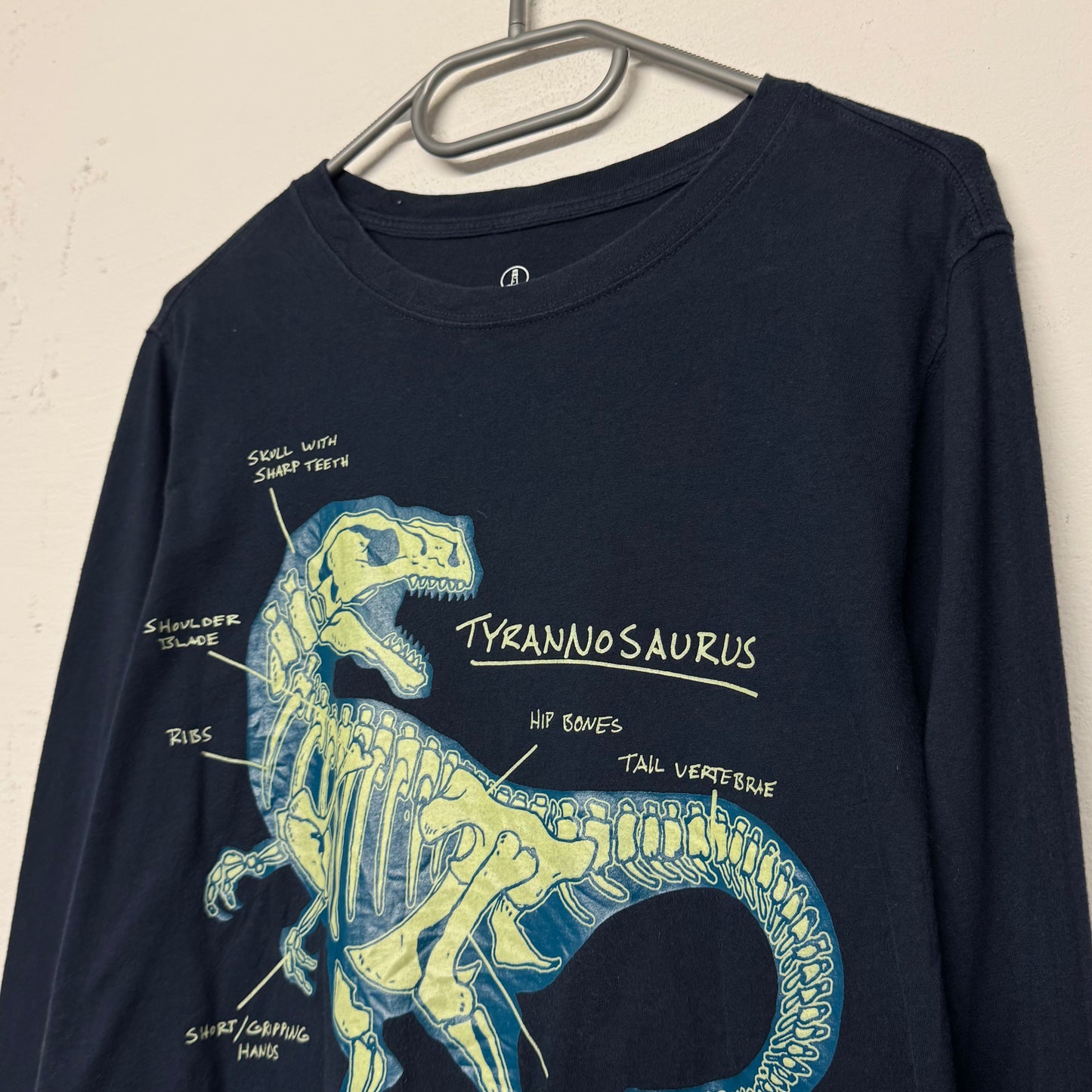 Y2K Tyrannosaurus Longsleeve (S)