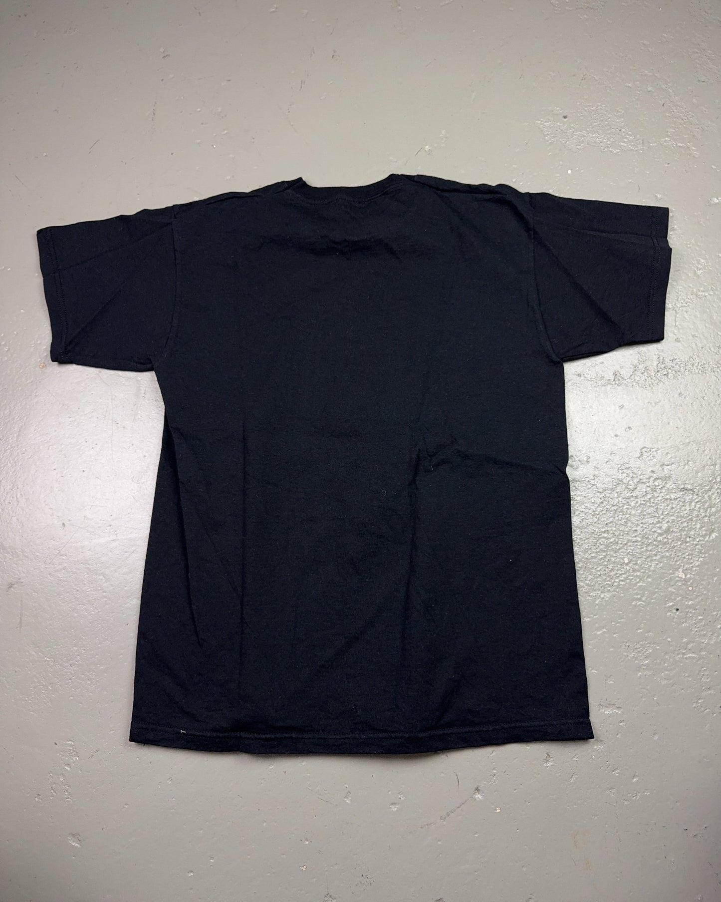 2000's Fruit Of The Loom T-shirt *rare (L)