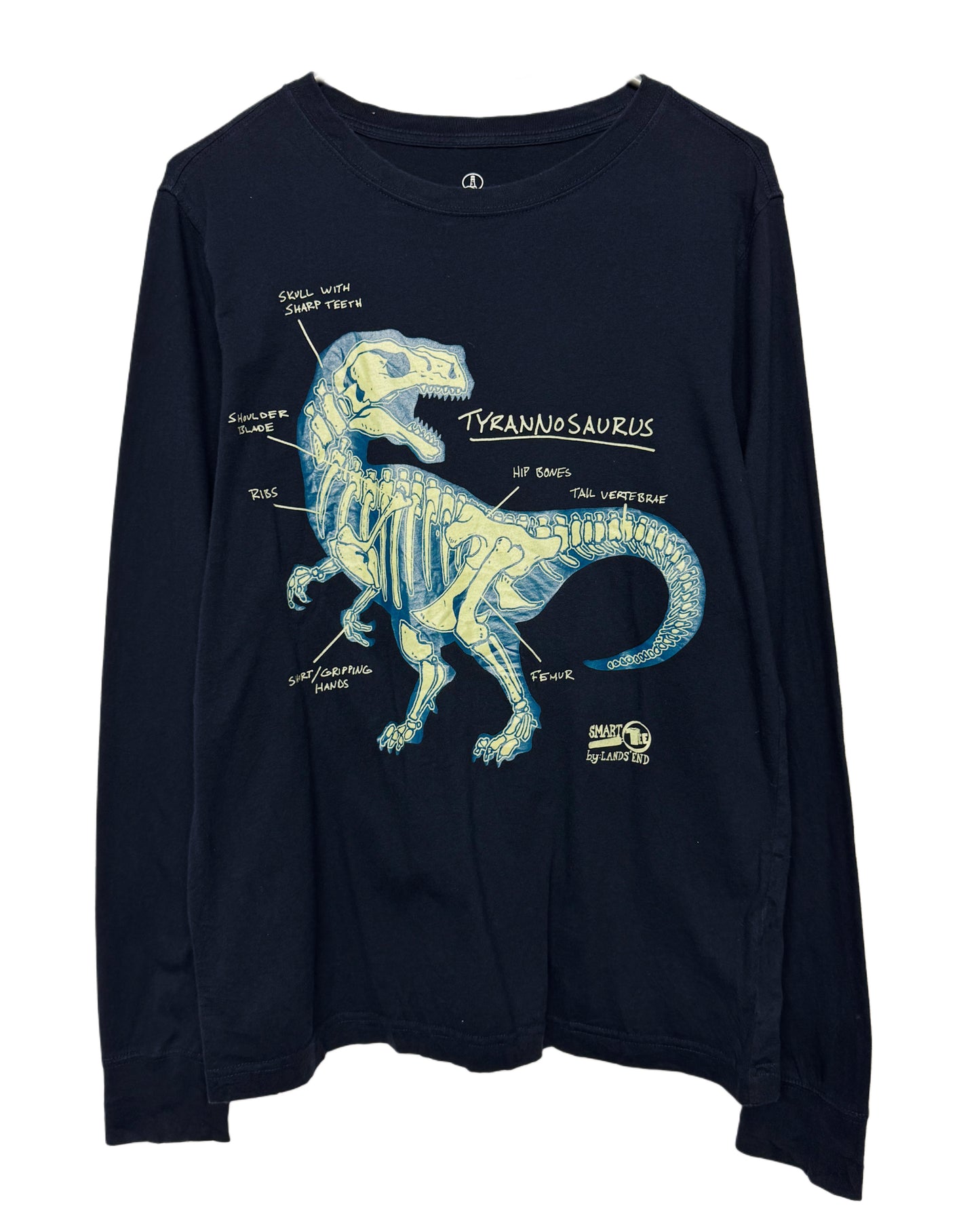 Y2K Tyrannosaurus Longsleeve (S)