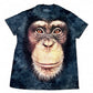 2010's The Mountain T-shirt * (M)
