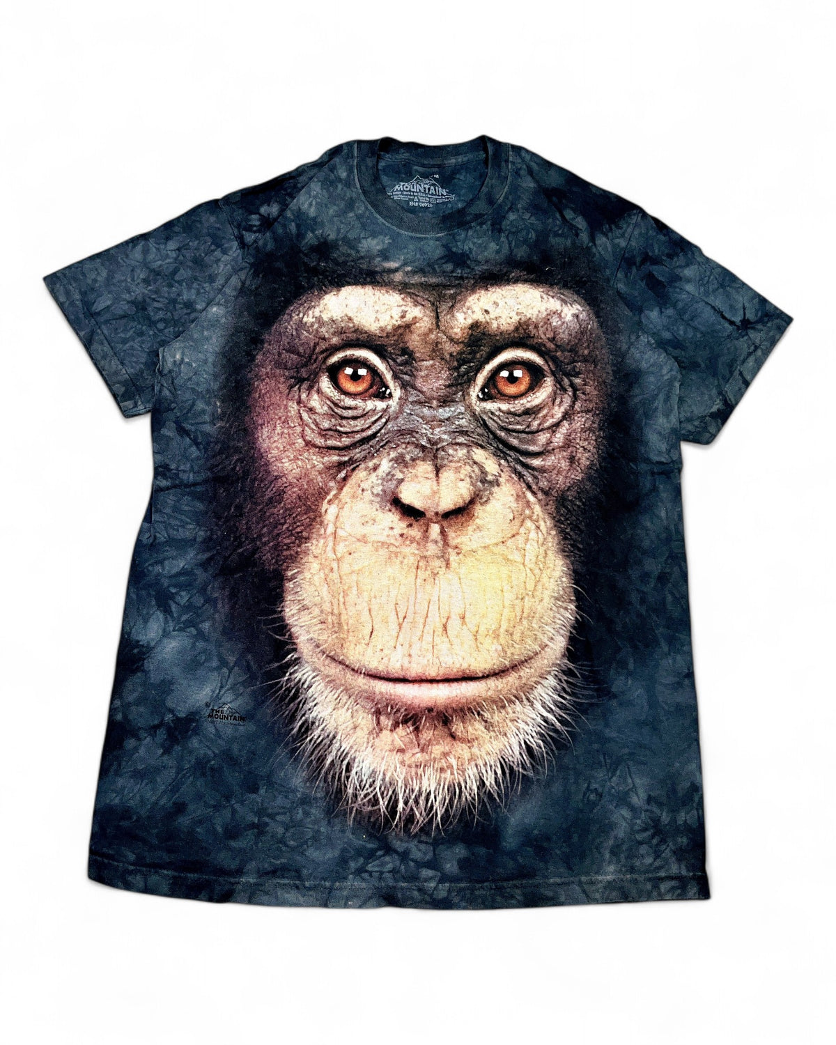 2010's The Mountain T-shirt * (M)