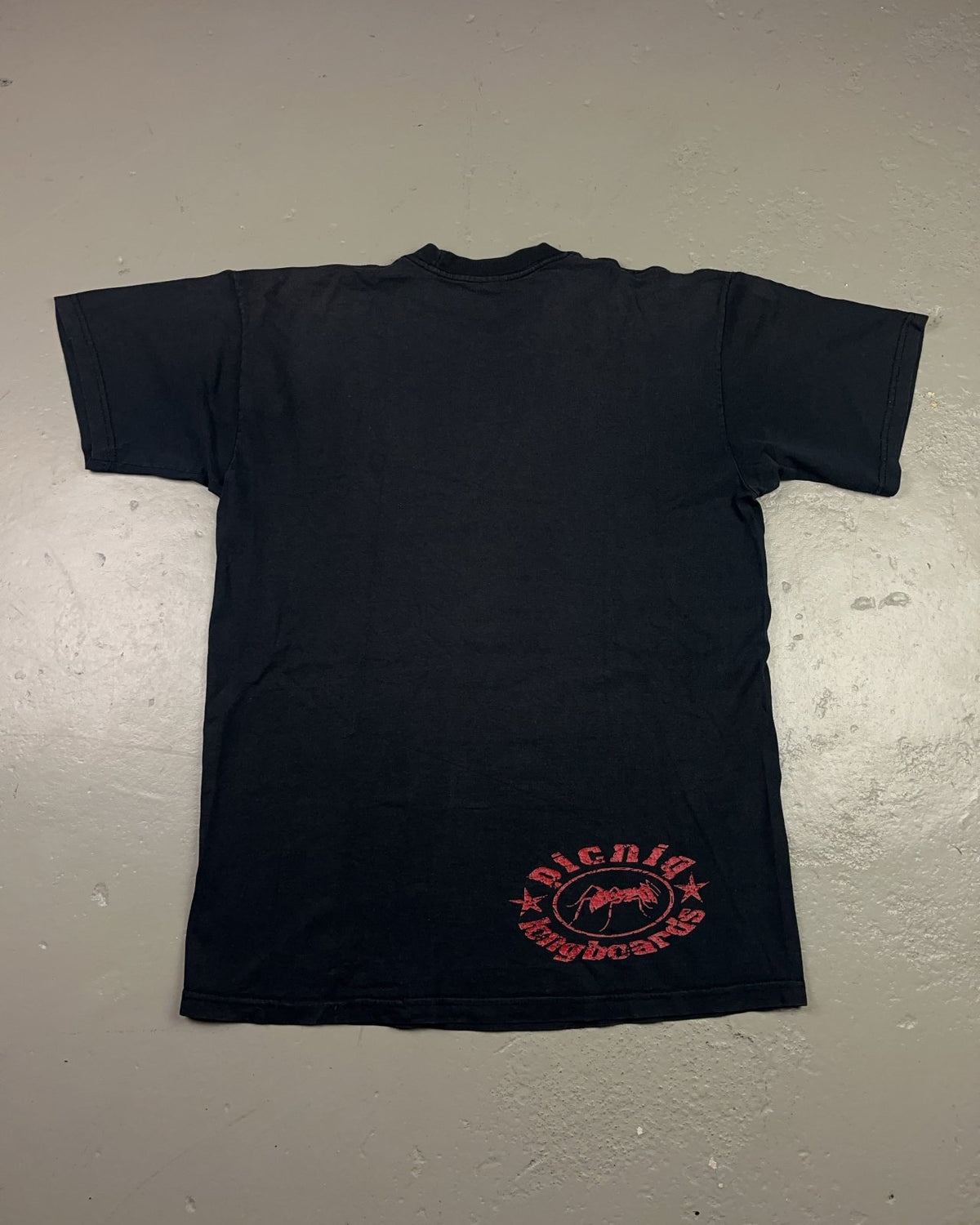 2000's Fruit Of The Loom T-shirt * (M) - Lennys Vintage