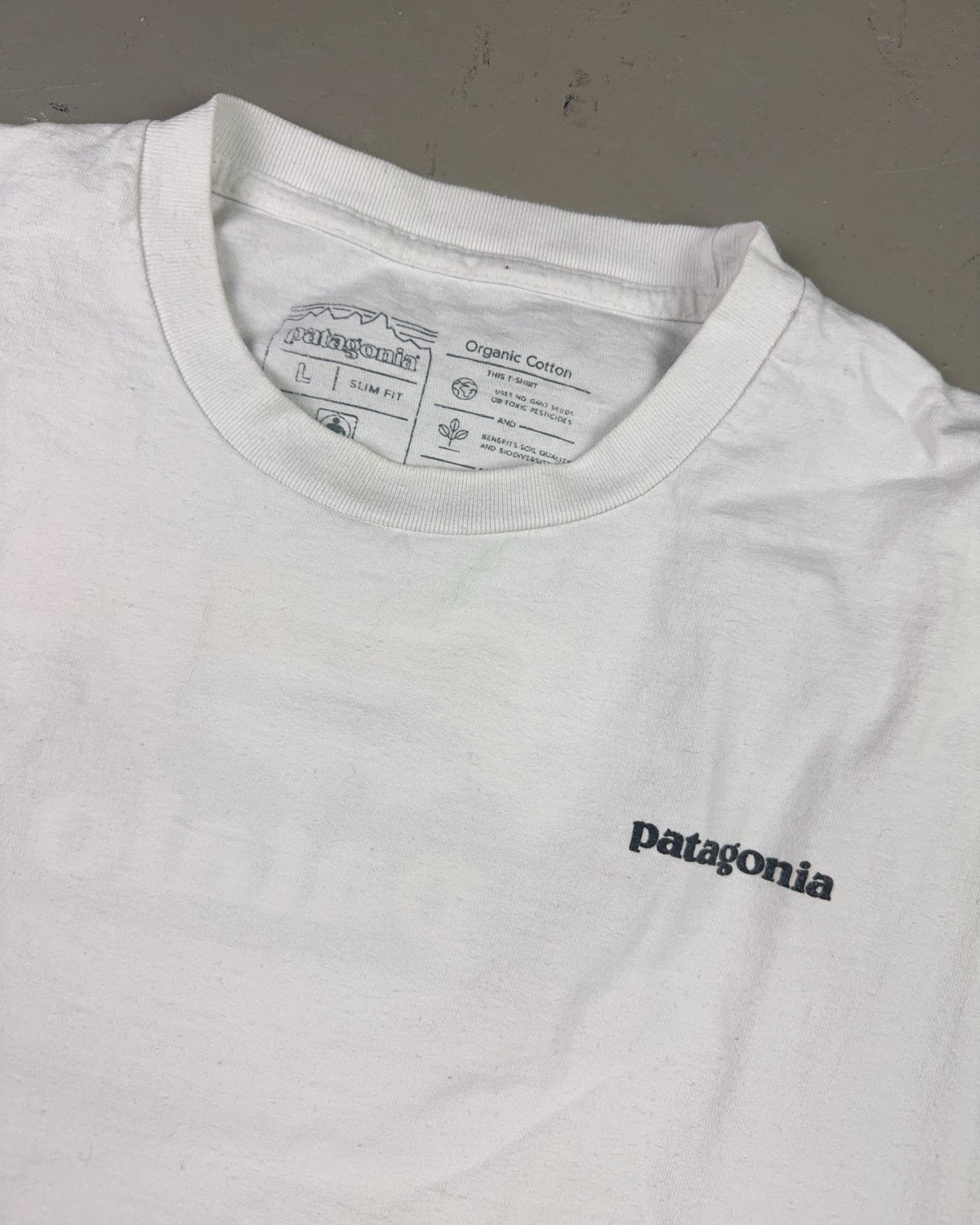 2000's Patagonia T-shirt *rare (L) - Lennys Vintage