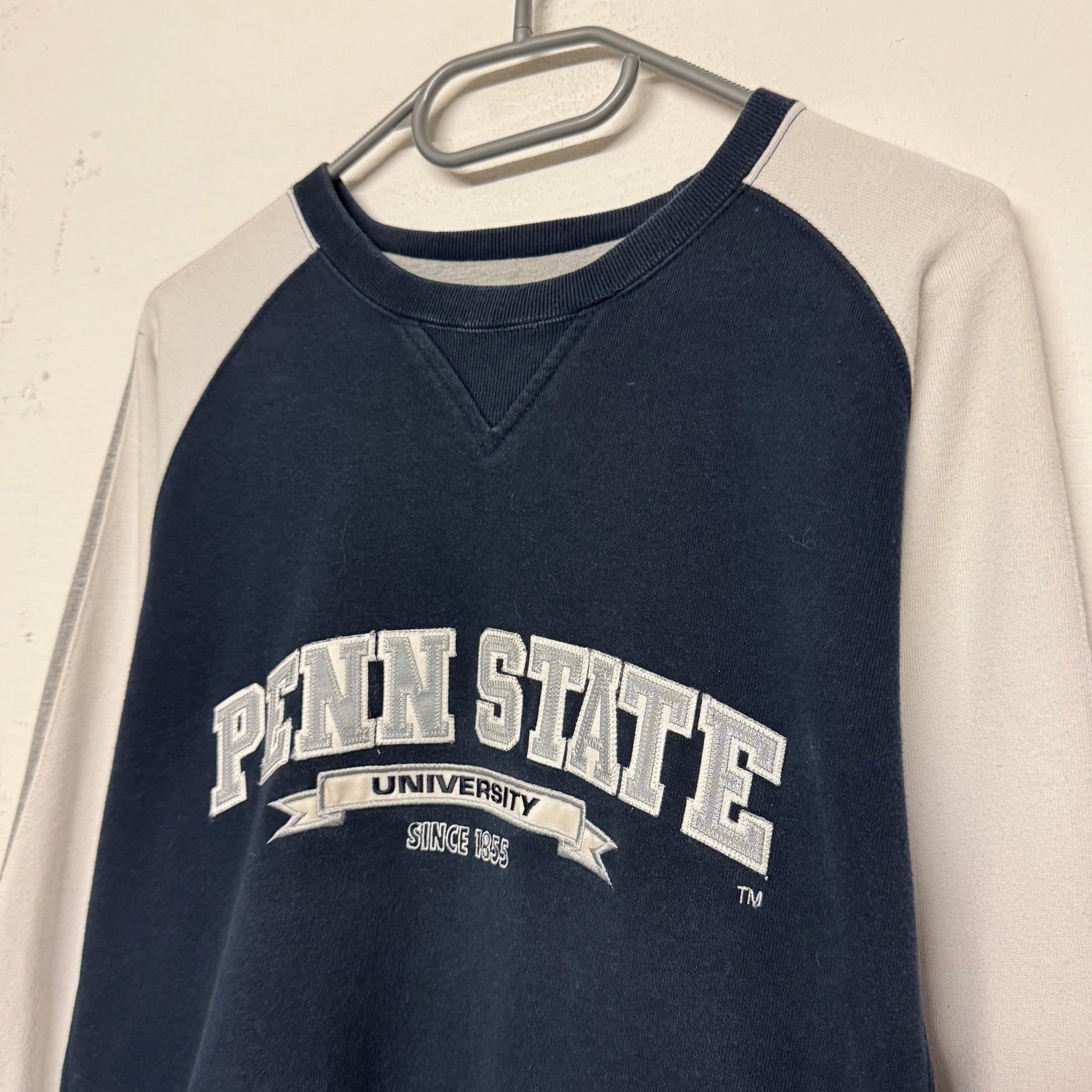 2000‘s Penn State University Champion Sweater (L) - Lennys Vintage