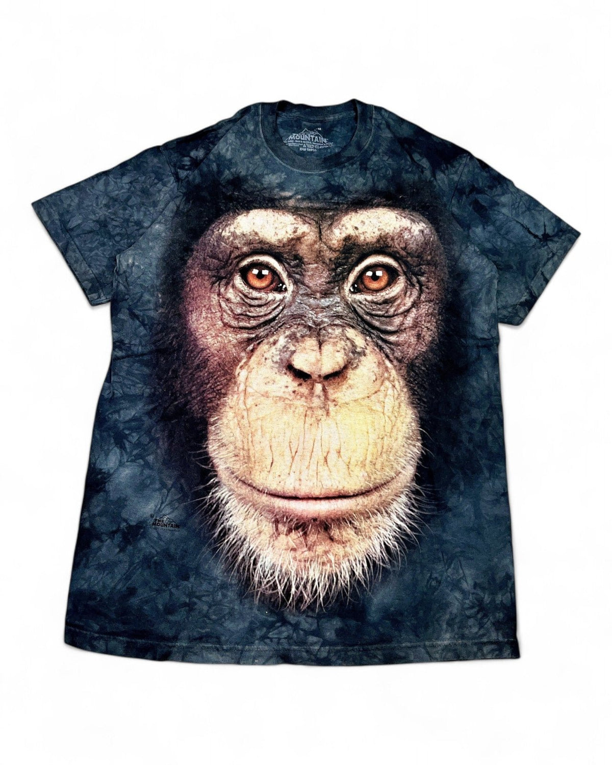 2010's The Mountain T-shirt * (M) - Lennys Vintage
