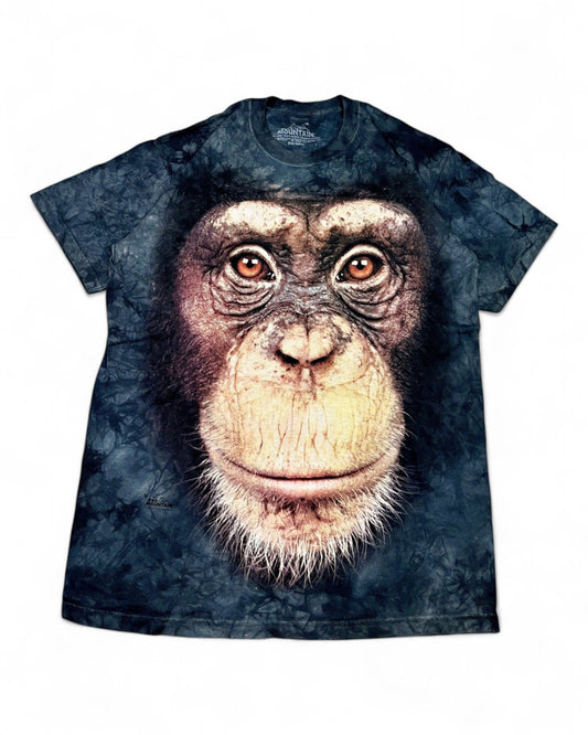 2010's The Mountain T-shirt * (M) - Lennys Vintage