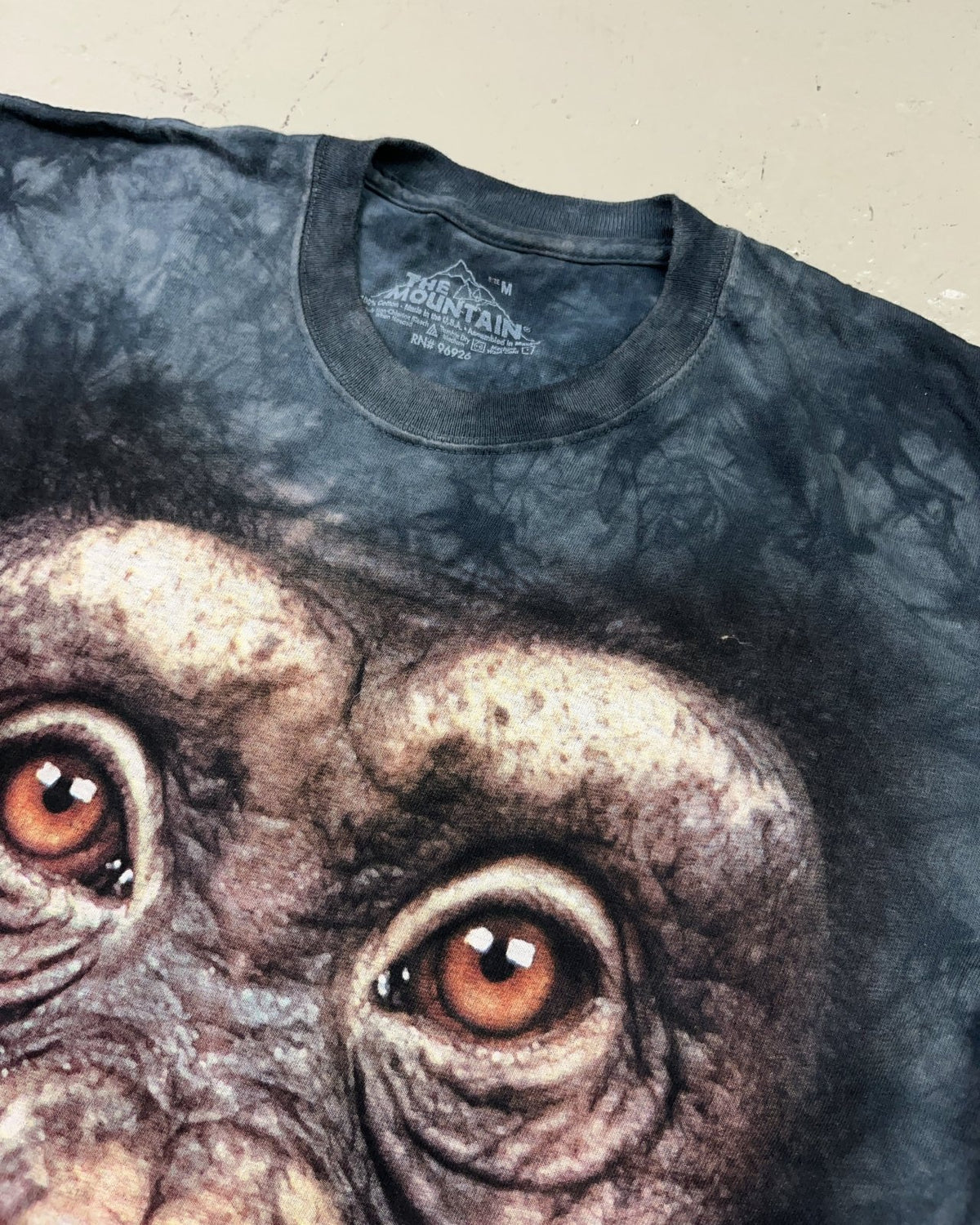 2010's The Mountain T-shirt * (M) - Lennys Vintage