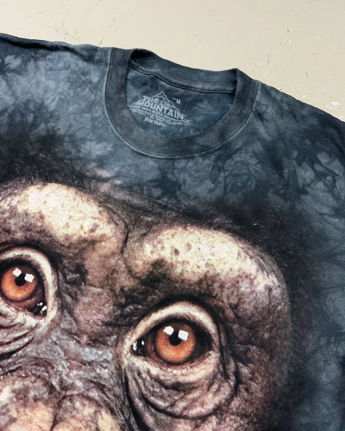 2010's The Mountain T-shirt * (M)