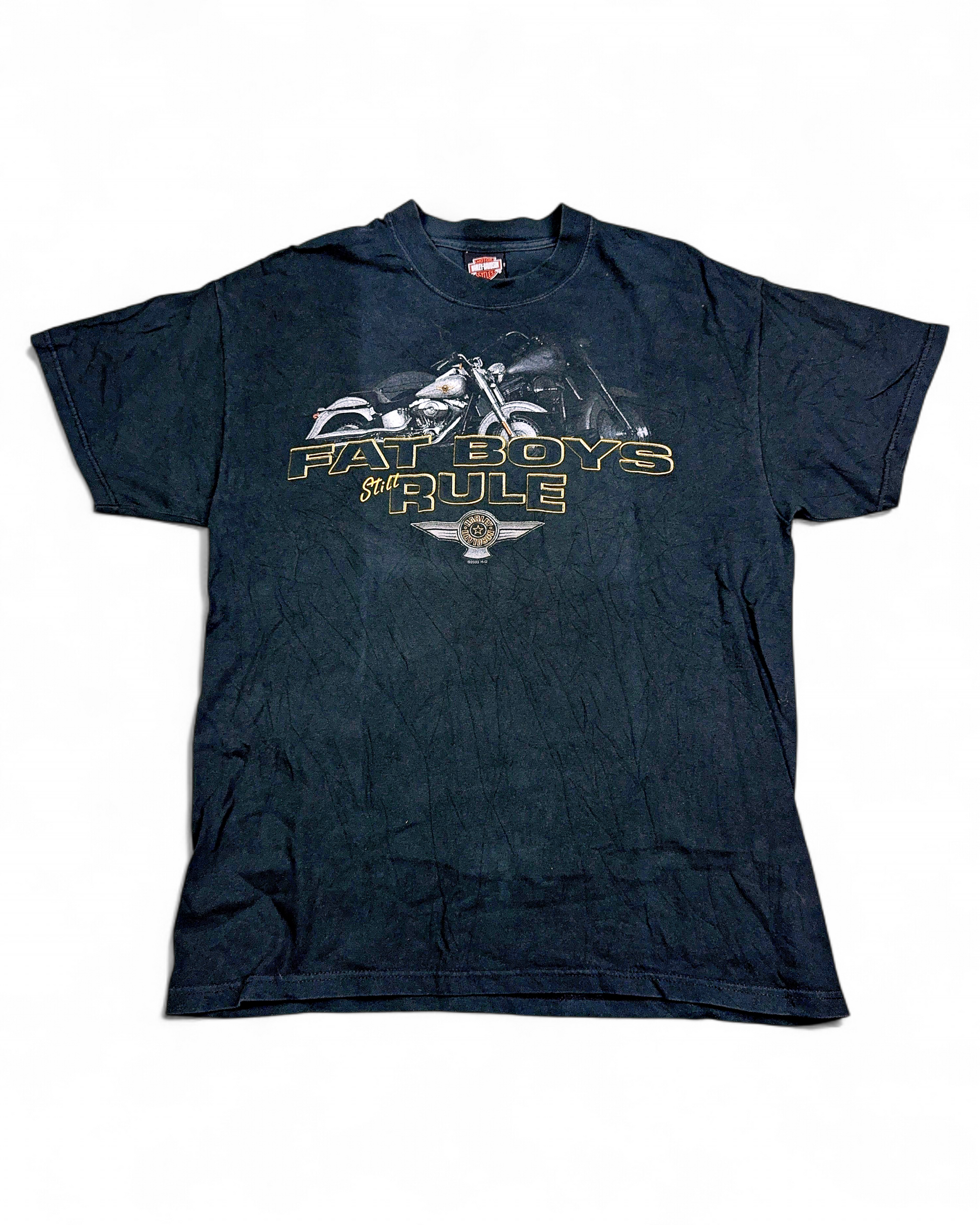 2000's Harley-davidson T-shirt *rare (L)