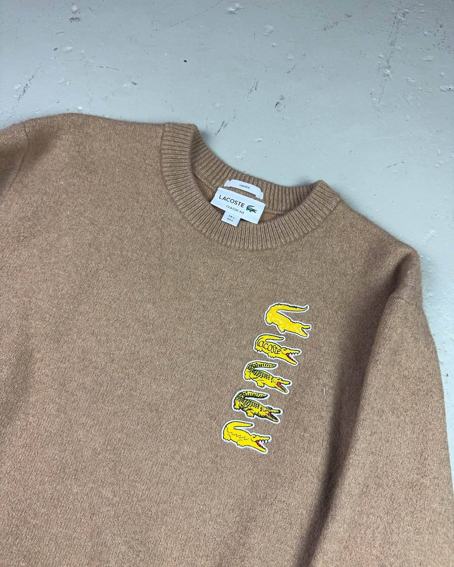 2010's Lacoste Sweater *rare (S)