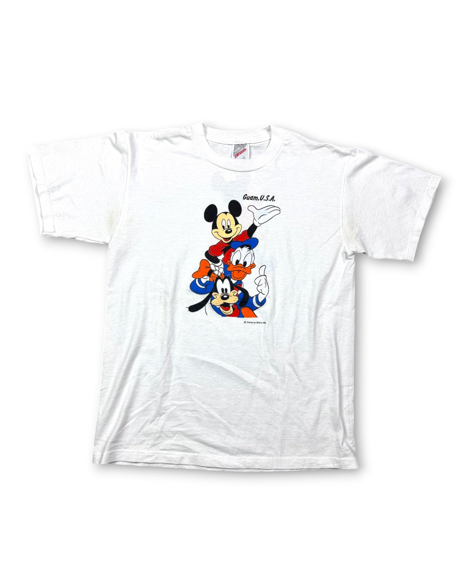 2000's Disney T-shirt *rare (L)