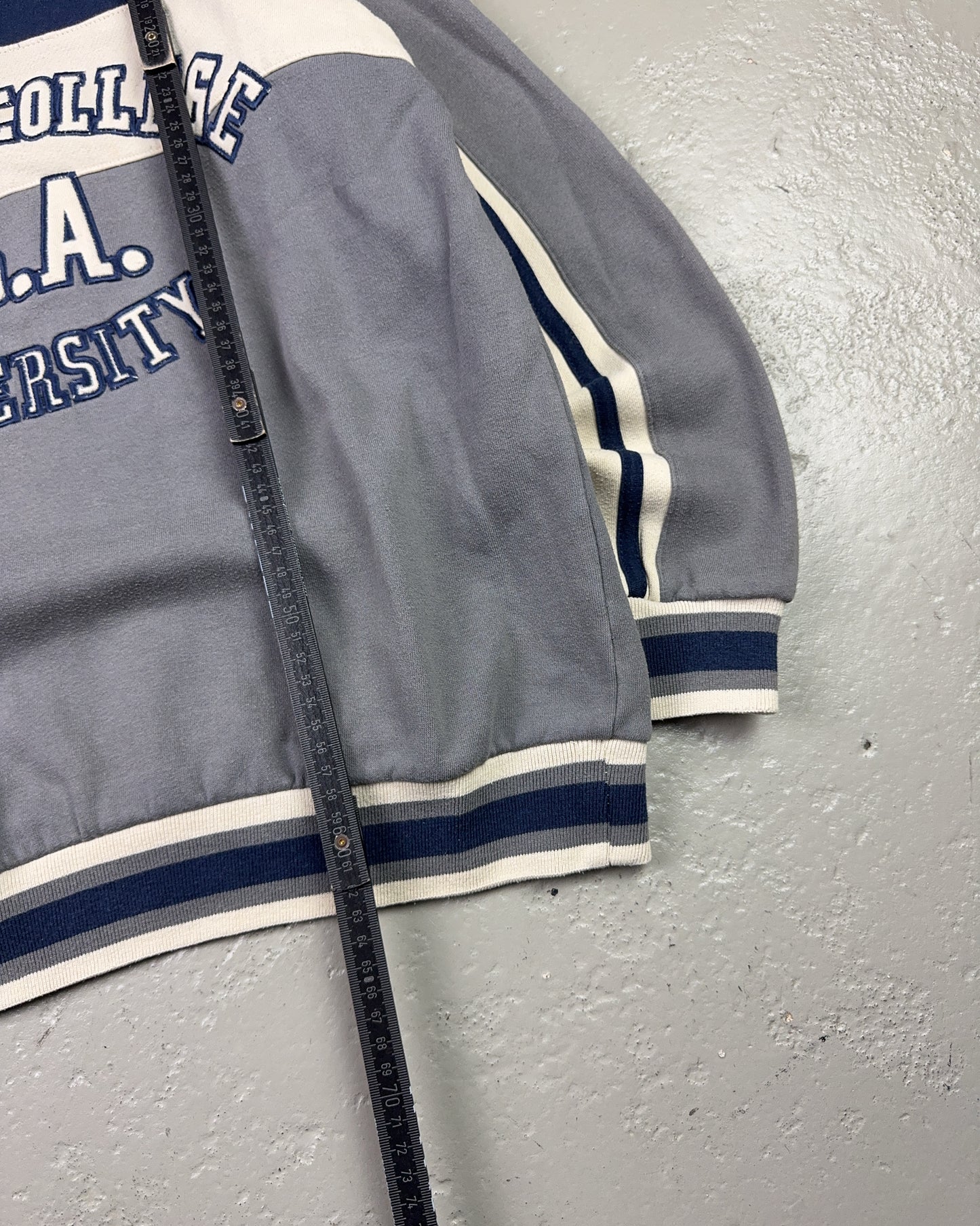 1990's Illinois College Zip Hoodie *very rare (S)
