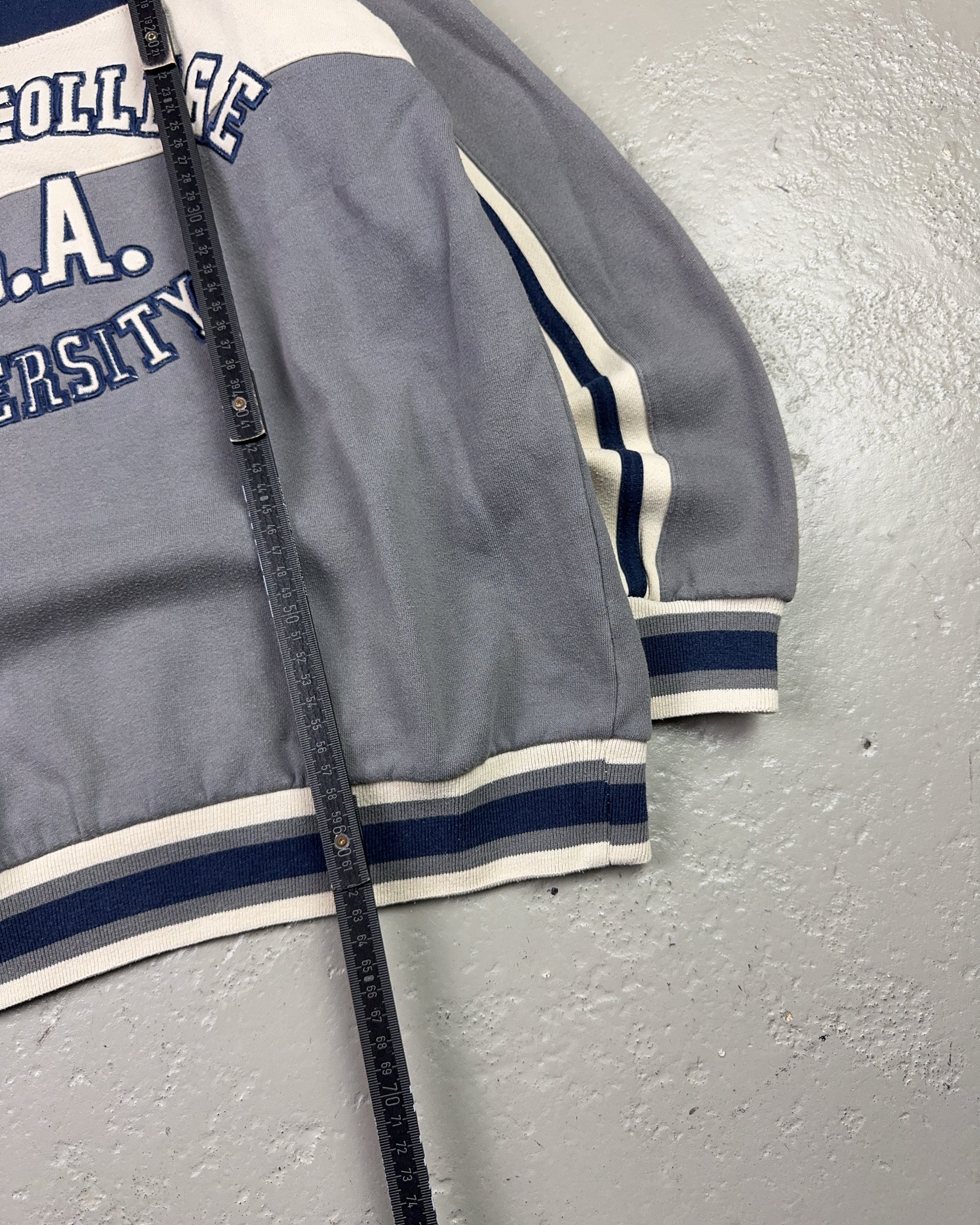 1990's Illinois College Zip Hoodie *very rare (S)