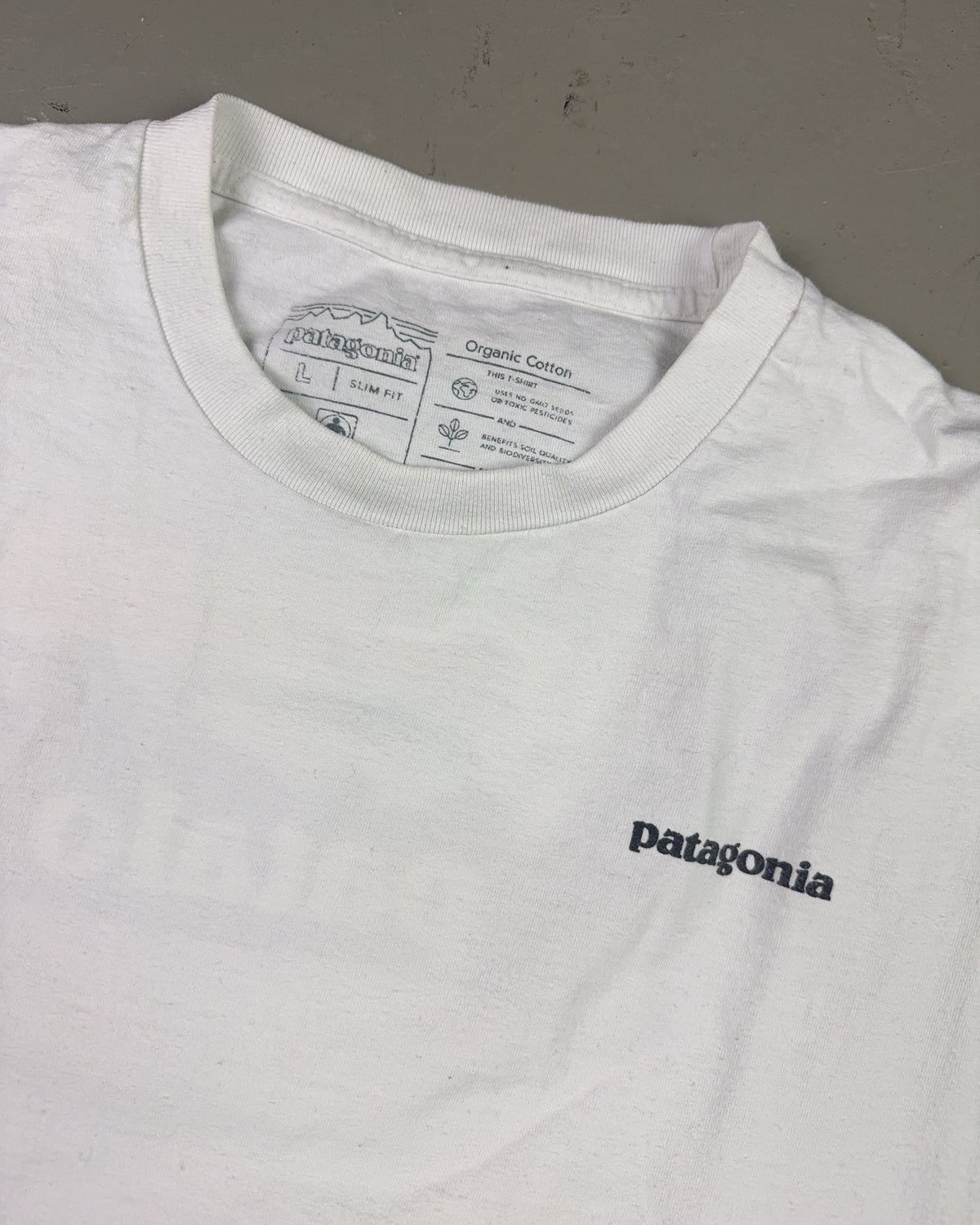 2000's Patagonia T-shirt *rare (L)